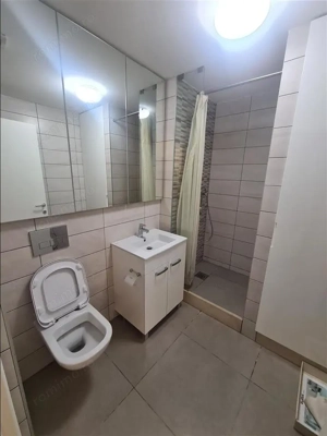 Apartament cu 2 camere de inchiriat in zona Nicolae Teclu - imagine 4