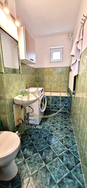 Apartament cu 2 camere de închiriat pet Friendly  Calea Sagului– 325 euro/luna - imagine 16