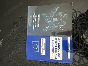 Chow chow mascul  - imagine 5