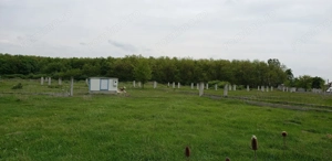 Teren intravilan de vanzare 32 parcele situate in comuna Gepiu, Bihor - imagine 7