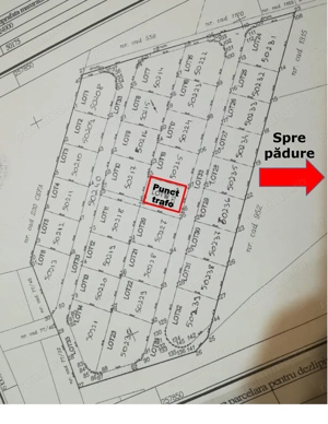 Teren intravilan de vanzare 32 parcele situate in comuna Gepiu, Bihor - imagine 17