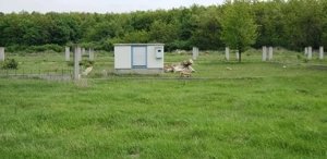 Teren intravilan de vanzare 32 parcele situate in comuna Gepiu, Bihor - imagine 5