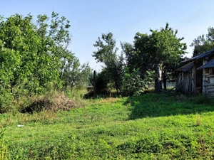 Casa la tara de vanzare, teren mare, 2 intrari auto - Calea Mare, Biho - imagine 17 Casa la tara de vanzare, teren mare, 2 intrari auto - Calea Mare, Biho - imagine 17