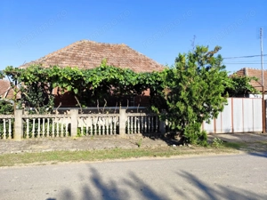 Casa la tara de vanzare, teren mare, 2 intrari auto - Calea Mare, Biho