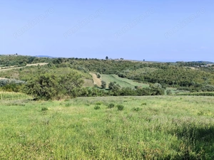 Casa la tara de vanzare, teren mare, 2 intrari auto - Calea Mare, Biho - imagine 19 Casa la tara de vanzare, teren mare, 2 intrari auto - Calea Mare, Biho - imagine 19