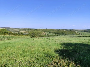 Casa la tara de vanzare, teren mare, 2 intrari auto - Calea Mare, Biho - imagine 20 Casa la tara de vanzare, teren mare, 2 intrari auto - Calea Mare, Biho - imagine 20