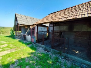 Casa la tara de vanzare, teren mare, 2 intrari auto - Calea Mare, Biho - imagine 5 Casa la tara de vanzare, teren mare, 2 intrari auto - Calea Mare, Biho - imagine 5