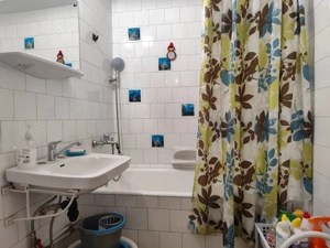 Apart.de inchiriat ultracentral, langa Facultatea de Medicina, Oradea - imagine 11