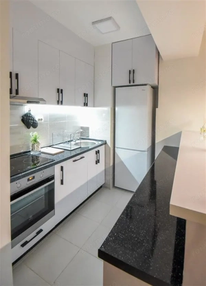 Apartament cu doua camere de inchiriat in zona Berceni - imagine 6