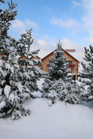 Pensiune de închiriat pentru revelion - imagine 3