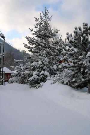 Pensiune de închiriat pentru revelion - imagine 5