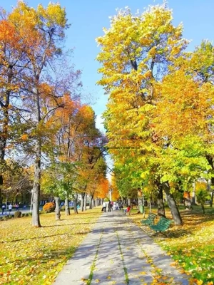 Serban Voda - Carol - Tineretului - 2 camere cu terasa - imagine 2