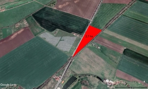 2,70 ha teren la intrarea in com Sagu, front stradal mare - imagine 4