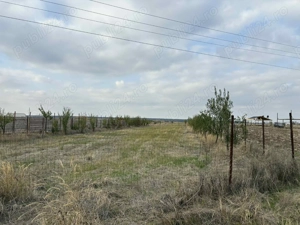 Teren intravilan situat pe strada principală între Carligei și Palilula - imagine 3