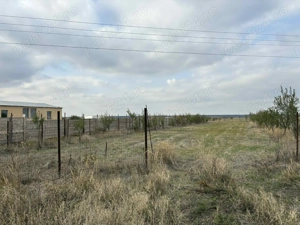 Teren intravilan situat pe strada principală între Carligei și Palilula