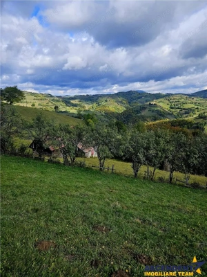 10.335 mp + imobil, splendoare si regasire in mijlocul naturii, Poiana Marului - imagine 2