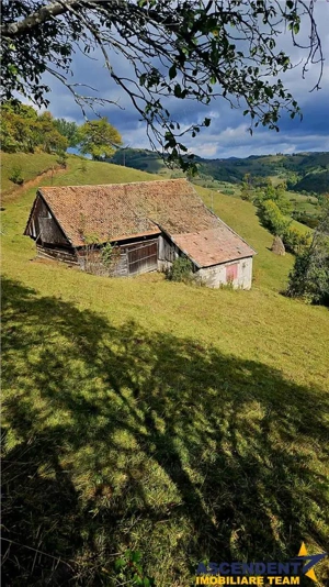10.335 mp + imobil, splendoare si regasire in mijlocul naturii, Poiana Marului