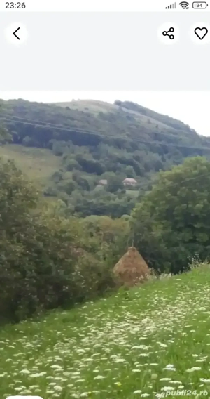 vand teren intravilan 1500m2 Salciua (valea larga) - imagine 5