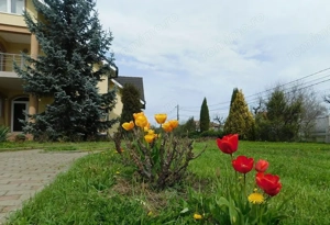 Sangeorgiu de Mures - Vanzare casa moderna cu 3 garaje - Str. Borzas - imagine 9