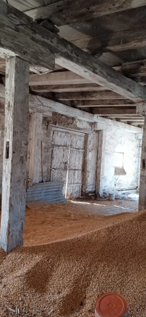 Vând magazie 400 mp și terenul de sub ea Fizes CS - imagine 4