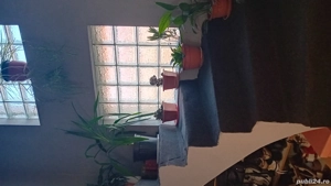 Casă individuală Săcălaz  - imagine 18