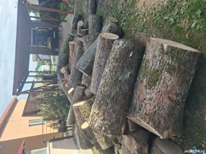 vând lemne de foc esență tare cer,fag,carpen,stejar cantitate garantata  transport gratuit  lemnele 