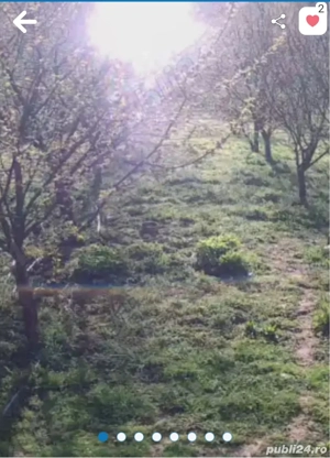 OCAZIE ! vand teren intravilan si casa  - imagine 2