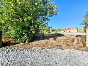 Teren central 23 August   Ideal pentru casa sau camin de batrani - imagine 9