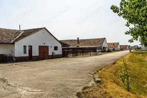 Fermă Mândruloc 2,5 ha - imagine 3