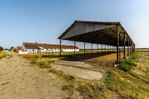 Fermă Mândruloc 2,5 ha - imagine 11