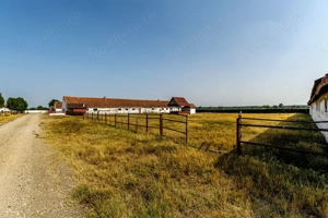 Fermă Mândruloc 2,5 ha - imagine 6