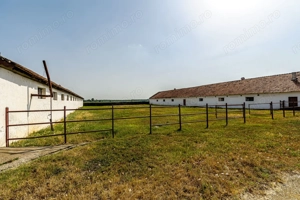 Fermă Mândruloc 2,5 ha - imagine 7