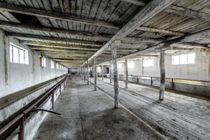 Fermă Mândruloc 2,5 ha - imagine 2