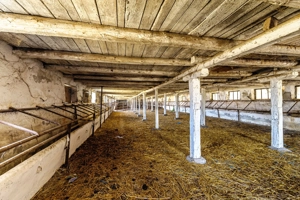 Fermă Mândruloc 2,5 ha - imagine 5