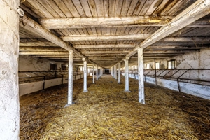 Fermă Mândruloc 2,5 ha - imagine 4