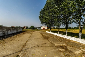 Fermă Mândruloc 2,5 ha - imagine 8