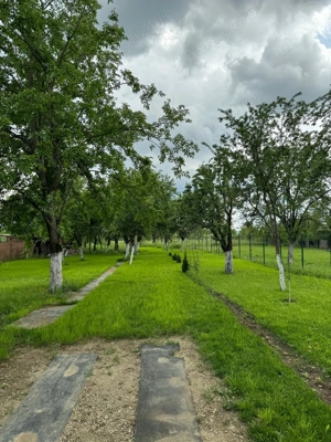 Teren Preajba Mare - imagine 6