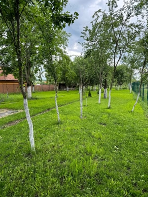 Teren Preajba Mare - imagine 2