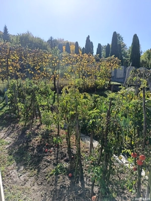 Casă Goranu lespezi  - imagine 9