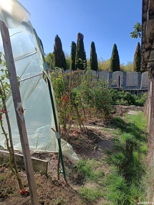 Casă Goranu lespezi  - imagine 10