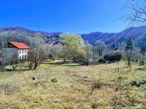 Teren INTRAVILAN Vișinești (cadastru intabulare), jud.Dambovita (1.20 h de Bucuresti,10 min Provita)