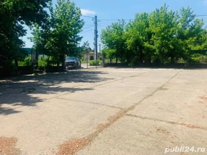 hala holboca  - imagine 2 hala holboca  - imagine 2