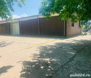 hala holboca  - imagine 5 hala holboca  - imagine 5