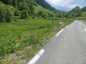 Teren Muntele Cacovei  - imagine 7