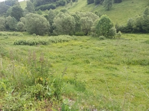 Teren Muntele Cacovei  - imagine 5