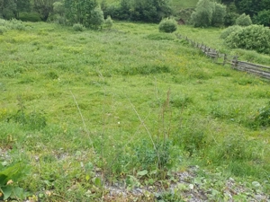 Teren Muntele Cacovei  - imagine 4