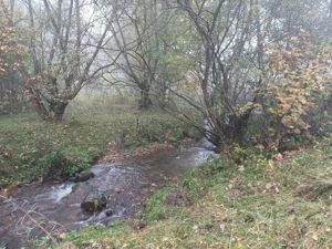 Teren Muntele Cacovei  - imagine 9