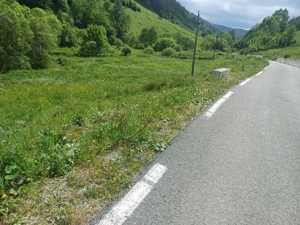 Teren Muntele Cacovei  - imagine 8