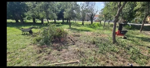 Tocător profesional Samix Allesfresser S-B 6   Motor Termic (Benzină) - imagine 3