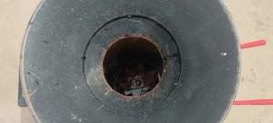 Tocător profesional Samix Allesfresser S-B 6   Motor Termic (Benzină) - imagine 4